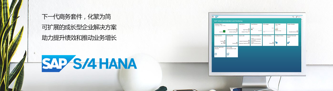 SAP-S4-HANA